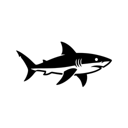 3D Shark Media